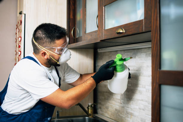 Best Cockroach Control Services  in Colwich, KS