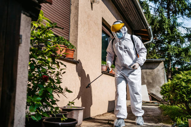 Best Pest Control Near Me in Colwich, KS