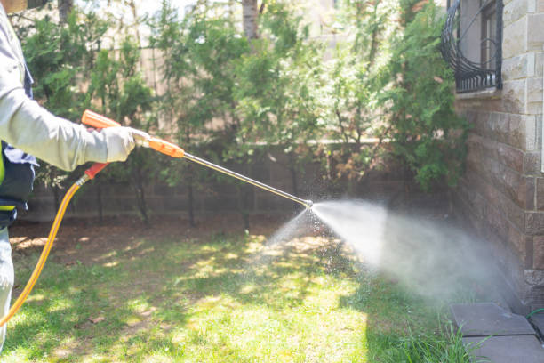 Best Termite Control Services  in Colwich, KS