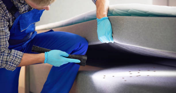 Professional Pest Control in Colwich, KS
