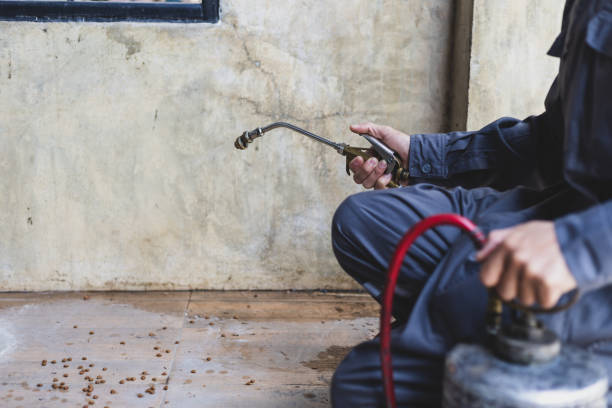 Best Wasp Removal Services  in Colwich, KS